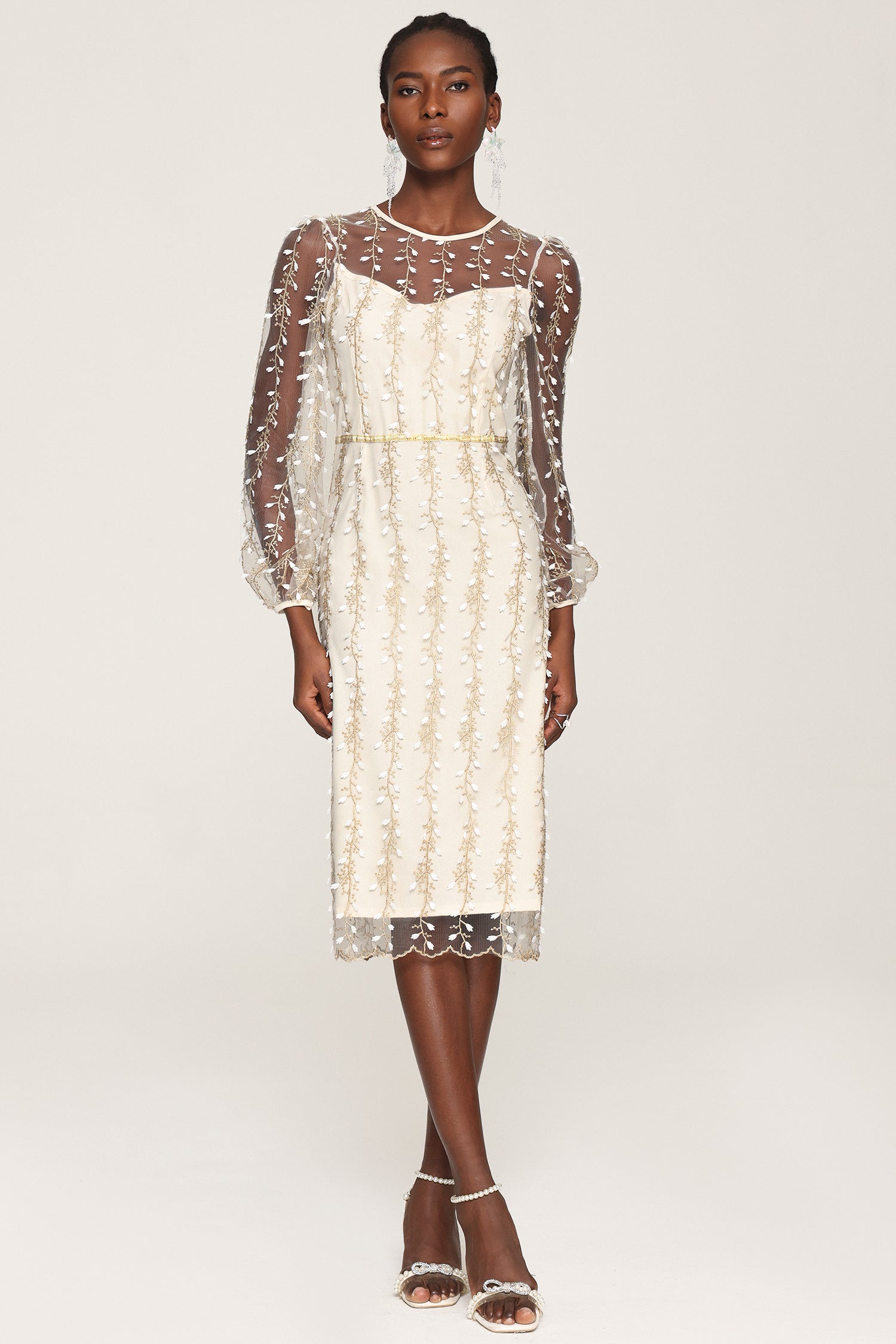 Tinsley Embroidery Long Sleeves Mesh Midi Dress