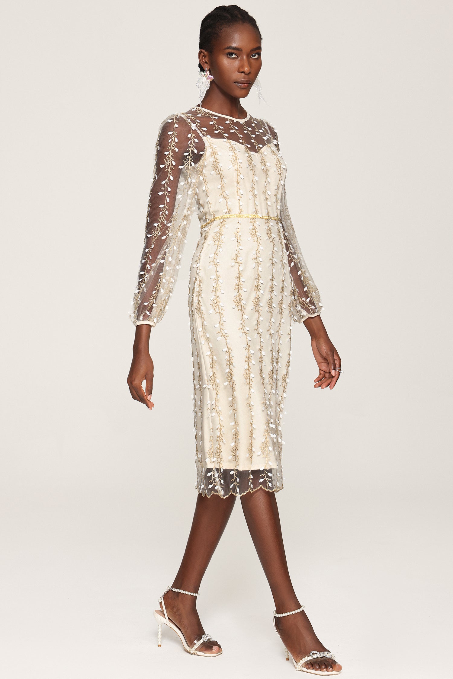 Tinsley Embroidery Long Sleeves Mesh Midi Dress