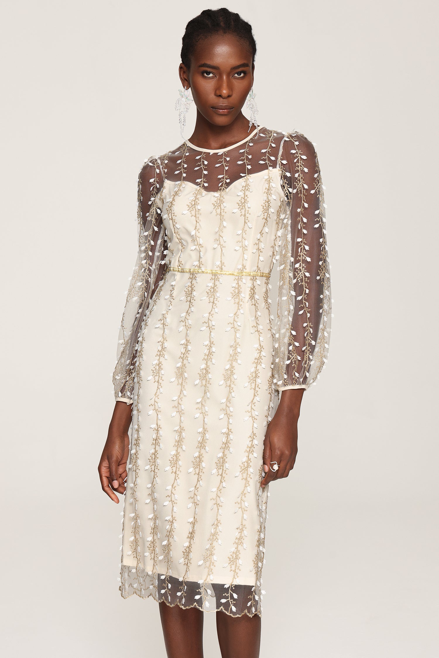 Tinsley Embroidery Long Sleeves Mesh Midi Dress