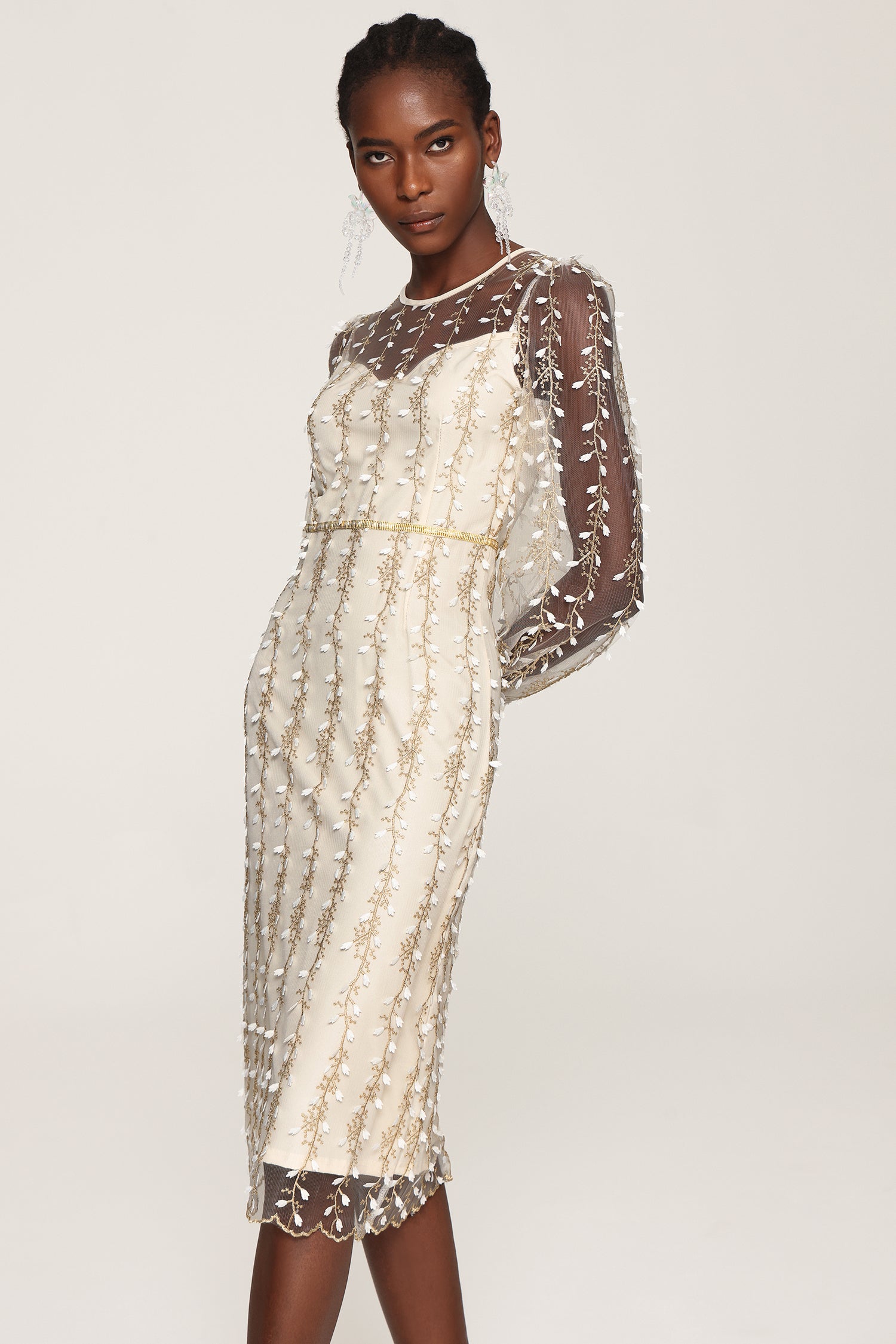 Tinsley Embroidery Long Sleeves Mesh Midi Dress