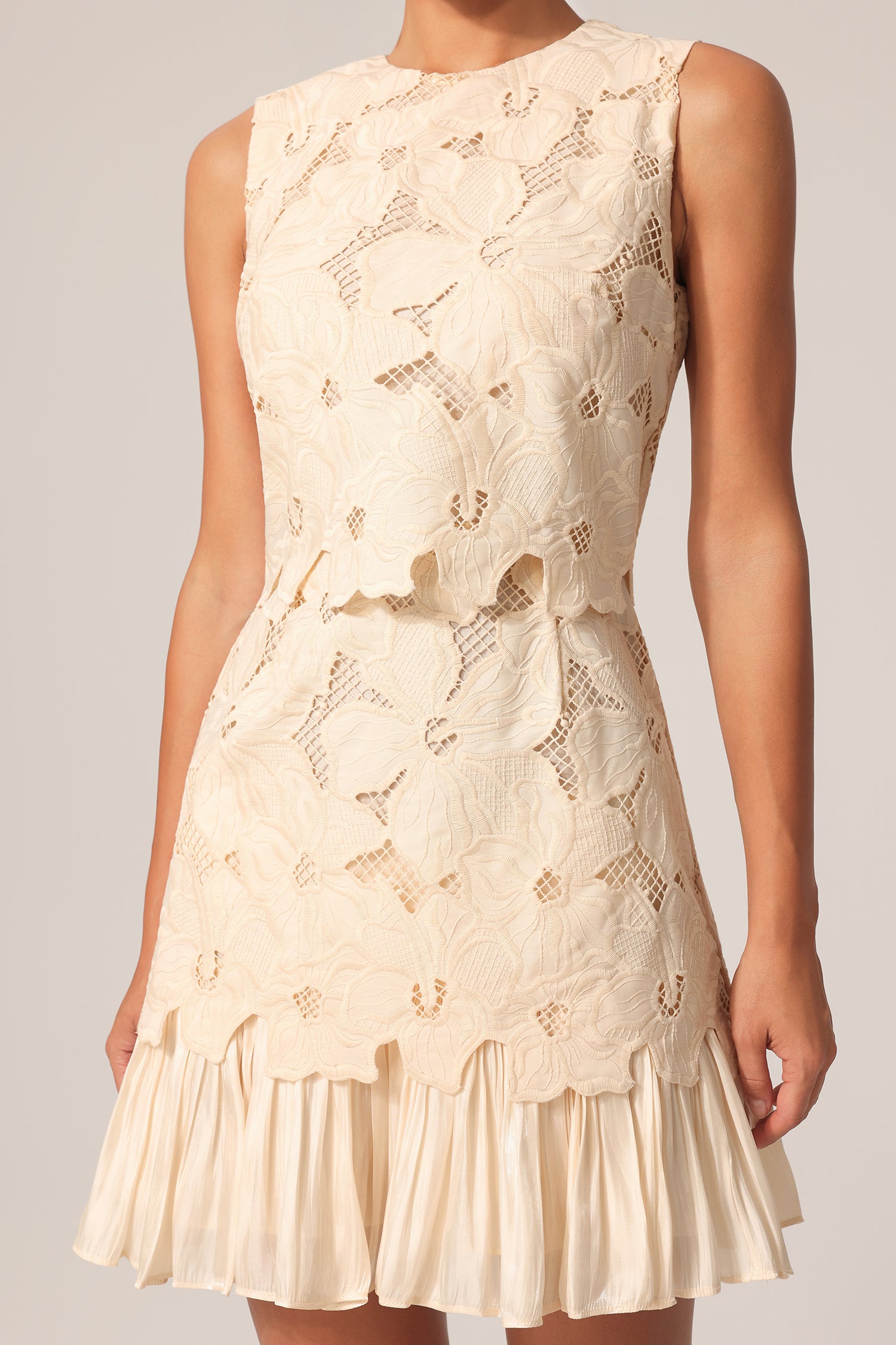 Tanisha Round Neck Sleeveless Flowers Lace Mini Dress