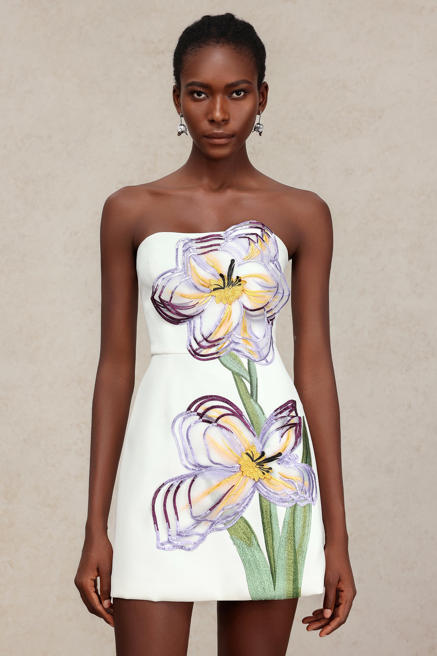 Ginny Sleeveless Embroidery Flowers Mini Dress